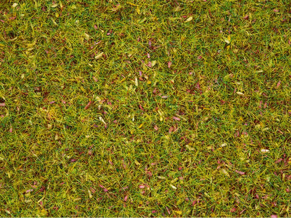 Noch 8330 All Scale Flowering Meadow Grass, 20g / 3/4 oz