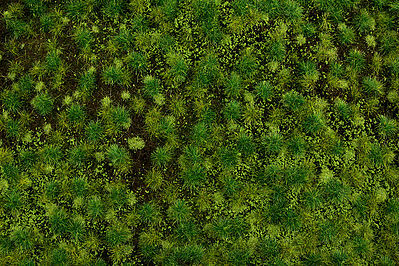 Bachmann 32922 All Scale SceneScapes Tufted Grass Medium Green 3/16" (