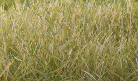 Woodland Scenics FS627 All Scale Static Grass Light Green 12mm