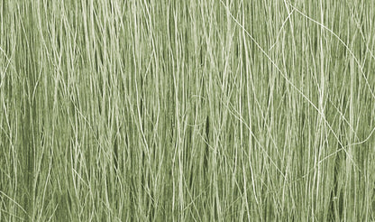 Woodland Scenics FG173 All Scale Field Grass Light Green
