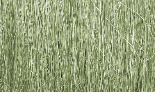 Woodland Scenics FG173 All Scale Field Grass Light Green