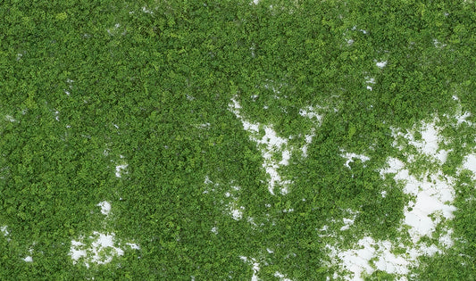 Woodland Scenics F52 All Scale Foliage Medium Green