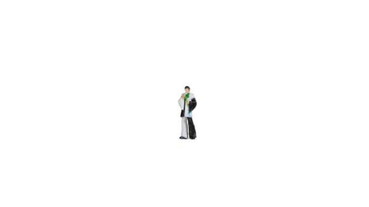 Noch 10414 HO Scale Harlequin - Color 3D Print