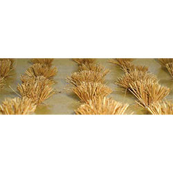 JTT Scenery 95579 Ho Wheat Bushes