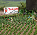 Busch 1265 HO Scale Strawberry Plants Kit, pkg(40)