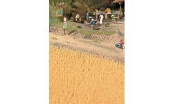 Walthers SceneMaster 949-1143 HO Harvest Wheat Field - Brown