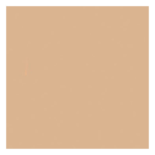 Tru-Color Paint 1222 All Scale Military Acrylic Color - 1oz 29.6ml -- FS-30279: Sand