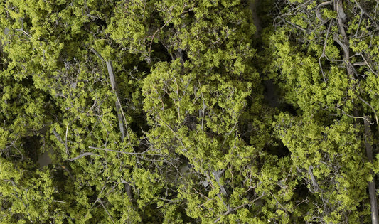 Woodland Scenics F1132 All Scale Fine-Leaf Foliage Light Green