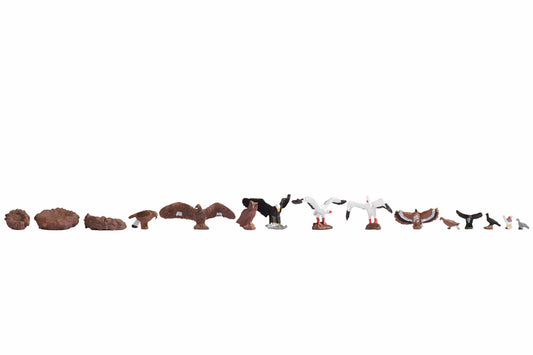 Noch 15775 HO Scale Birds & Nests Figure Set, 15 Pieces