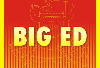 Eduard BIG49339 1/48 Big Ed D3A Val for Hasegawa