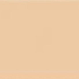 Mission Models Paint 81 1oz Bottle LRDG Pink Acrylic Paint (6/Bx)