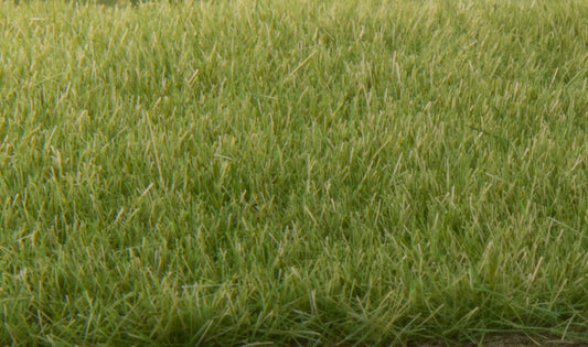Woodland Scenics FS618 All Scale Static Grass Medium Green 4mm