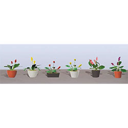 JTT Scenery 95570 O Flower Plants Potted #3