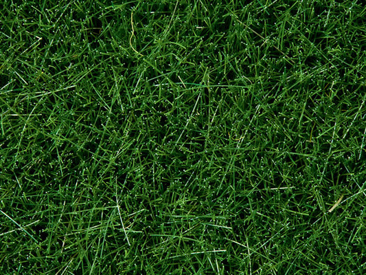 Noch 7106 All Scale Wild Grass - 1-3/4oz 50g -- Dark Green