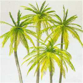 Preiser 18600 HO Scale Palm Trees pkg(4)