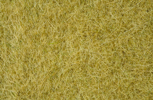 Noch 7091 All Scale Wild Grass, Beige, 6mm, 100g Tub