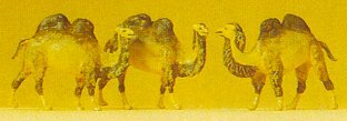Preiser 79711 N Scale Animals Camels