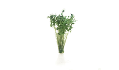 Woodland Scenics G6632 All Scale Dark Green Shrubs