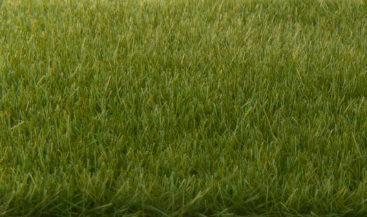 Woodland Scenics FS617 All Scale Static Grass Dark Green 4mm