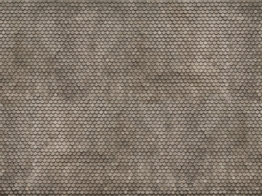 Noch 56691 HO Scale 3D Cardboard Sheet, Weathered Beavertail Tile