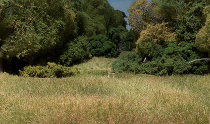 Woodland Scenics FS629 All Scale Plant Hues