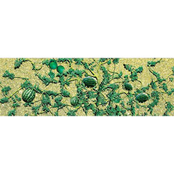 JTT Scenery 95576 O Watermelon Patch