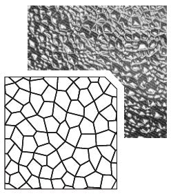 AK Interactive 6583 Transparent Still Water Styrene Sheet 9.64"x7.68"