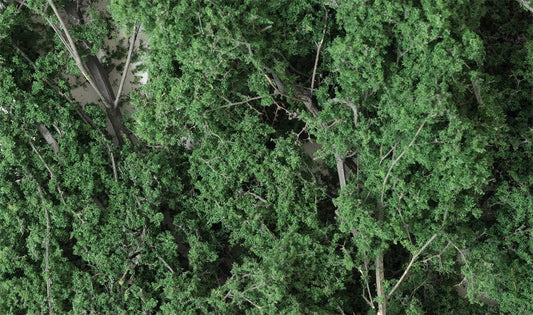 Woodland Scenics F1130 All Scale Fine-Leaf Foliage Dark Green