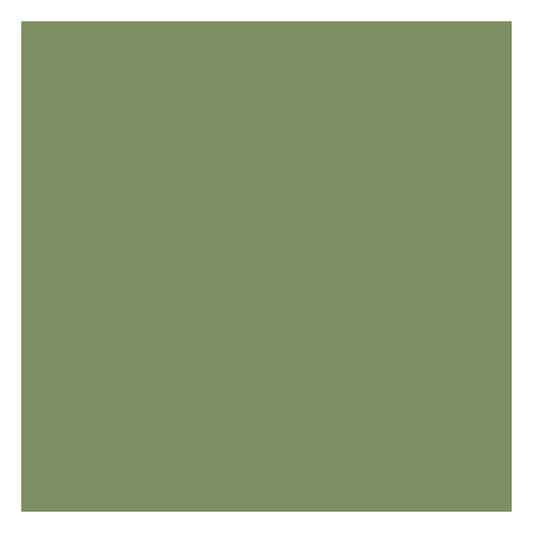 Mission Models 79 All Scale Water-Based Acrylic Paint 1oz 29.6ml -- MMP-079 RAF Interior Green