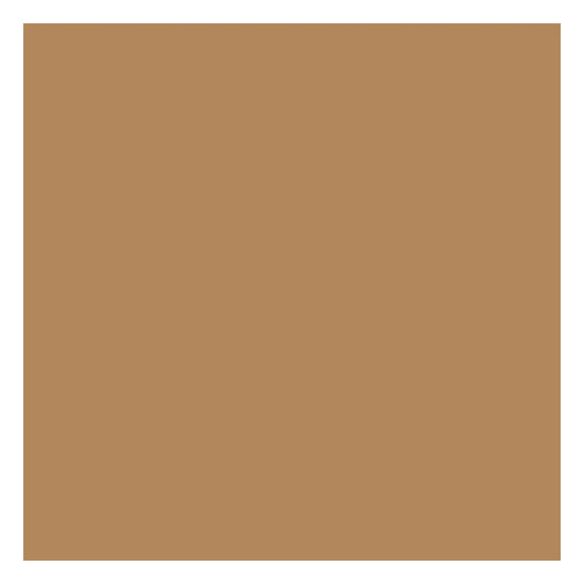 Tru-Color Paint 1212 All Scale Military Acrylic Colors Tan