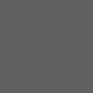 Tru-Color Paint 134 Railroad Color Acrylic Southern Pacific Lark Light Gray