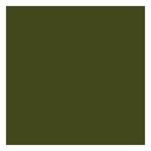 Tru-Color Paint 1407 All Scale Military Acrylic Colors MERDC Dark Green