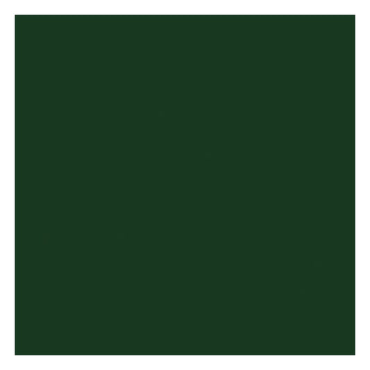 Tru-Color Paint 2338 All Scale Railroad Color Acrylic Paints - 2oz 59.1mL -- Seaboard Air Line Dark Green