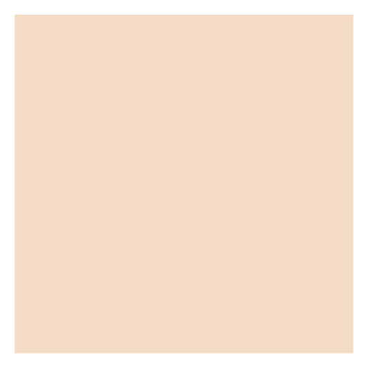 Tru-Color Paint 415 All Scale Sprayable Matte Paints - 1oz 29.6mL -- Light Tan Stucco