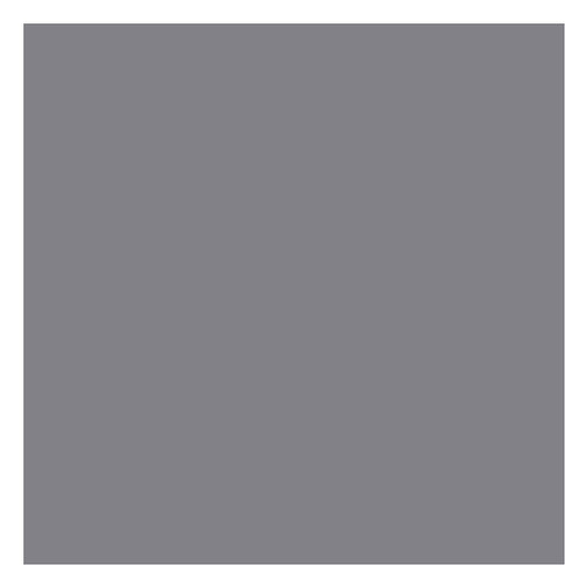 Tru-Color Paint 533 All Scale Automotive Color High-Gloss Acrylic Paints - 1oz 29.6mL -- Bright Silver