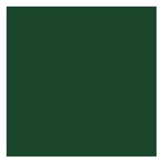 Tru-Color Paint 78 All Scale Railroad Color Acrylic Paints - 1oz 29.6mL -- Railway Express Agency Green