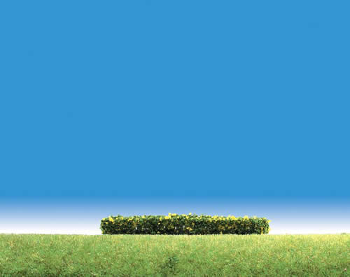 Faller 181399 HO Scale Hedges -- Flowering Yellow 4 x 3/8 x 3/8" 10 x 1 x 1cm