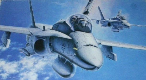 Hasegawa 7203 1/48 F/A18D Hornet Night Attacker Aircraft (D)
