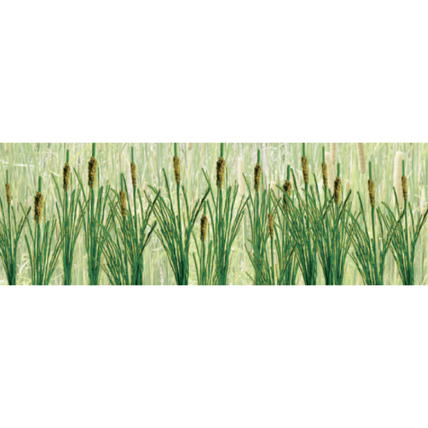 JTT Scenery 95536 O Cattails 1-1/2'