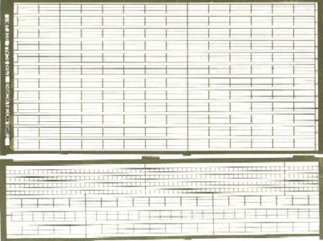 Toms Model Works 2001 1/192 3-Rail Set w/Ladders (D)