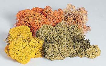 Piko 55712 HO Scale 1/87 Lichen 4 Assorted Colors 48g