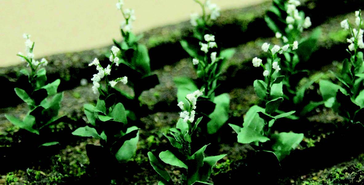 JTT Scenery 95587 O Tobacco Plants