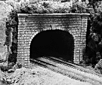 Woodland Scenics 1157 N Scale Double-Track Tunnel Portals pkg(2) Unpainted Hyrdrocal(R) Castings -- Cut Stone