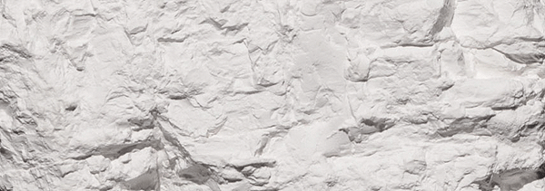 Woodland Scenics 1216 All Scale Earth Colors Liquid Pigment(TM) - 4oz 118mL Bottle -- White