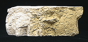 Woodland Scenics 1223 All Scale Earth Colors Liquid Pigment(TM) - 4oz 118mL Bottle -- Yellow Ocher