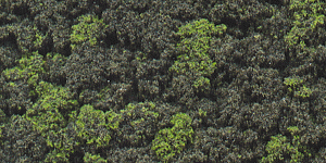 Woodland Scenics 149 All Scale Bushes Clump-Foliage 18 cu.in. -- Forest Blend