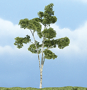 Woodland Scenics 1616 All Scale Ready Made Premium Trees(TM) - Deciduous -- Paper Birch - 4-1/2" 11.4cm
