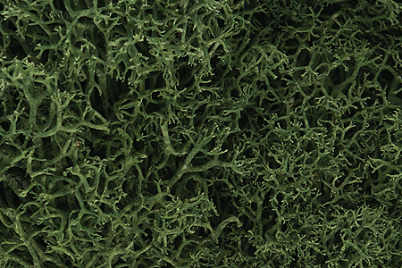 Woodland Scenics 163 All Scale Lichen - 1.5qts 1.4L -- Medium Green