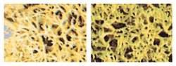 Woodland Scenics 167 All Scale Lichen - 3qts 2.84L -- Light Green Mix