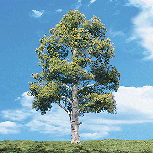 Woodland Scenics 3531 All Scale Woodland Classic Trees(R) Ready Made - Waters Edge -- 3/4 to 1-1/4" 1.9 to 3.2cm Tall pkg(8)